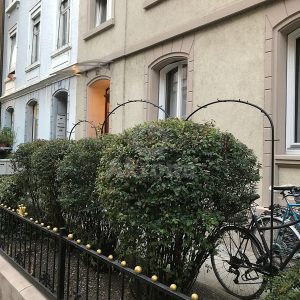 Akrona - Gartenpflege - Heckenschnitt